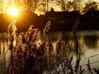 Sunset_Hengelo_The_Netherlands.jpg