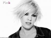 P_nk_pink_3326189_1024_768.jpg