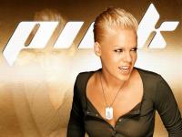 Pink_wallpapers_pink_24065751_1024_768.jpg
