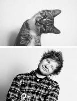 ed_sheeran.jpg