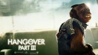 hangover3poster.jpg