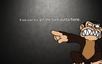 abstract_WTF_Family_Guy_funny_monkeys_1800x2880.jpg