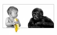 baby_funny_bananas_monkeys_1800x2880.jpg