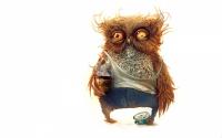 Hobo_Owl_1800x2880.jpg