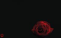 V_For_Vendetta_Rose_1800x2880.jpg