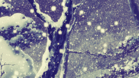 49312_Animated_Snow.gif