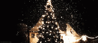 tumblr_lud4r2d1l41qk4aq6o1_500.gif