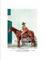 Fashion_Scans_Remastered.Candice_Swanepoel.VOGUE_BRAZIL.January_2014.Scanned_by_VampireHorde.HQ.8.jpg