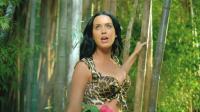 Katy_Perry_Roar_Music_Video_HD__04.jpg