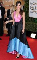 sandra_bullock_at_71st_annual_golden_globe_awards_13.jpg