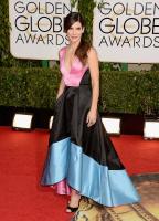 f81578cbee971dc4_sandra_bullock_golden_globes_2014_2.xxxlarge_2x.jpg
