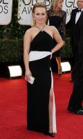 hayden_panettiere_at_71st_annual_golden_globe_awards_12.jpg