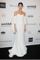 lily_aldridge_looking_stunning_in_rossie_assoulin_dress_at_2014_amfar_gala_4.jpg