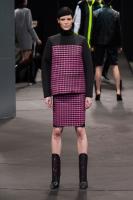 Alexander_Wang_Fall_2014_TUWbd_Gyagiex.jpg