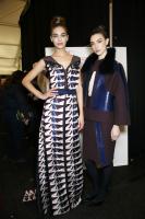 Carolina_Herrera_Fall_2014_Backstage_ADJAKSa_Xa_He.jpg