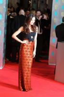 olga_kurylenko_at_2014_bafta_awards_in_london_6.jpg