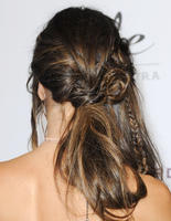 alea130314BZNimage00006.jpg