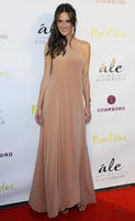 alea130314BZNimage00019.jpg