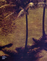 88996_vc18_123_13lo.jpg