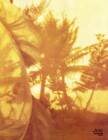 90248_vc37_123_714lo.jpg