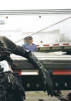 Serviced_22.jpg