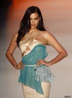 irina_shayk_01_nestandard1.jpg