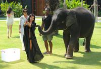kim_kardashian_kris_jenner.jpg