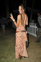 alea130414BZNimage00003.jpg