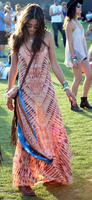 alea130414BZNimage00146.jpg