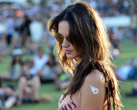 alea130414BZNimage00166.jpg
