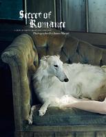 Jacquelyn_Jablonski_by_James_Macari__Secret_Of_Romance___Harper_s_Bazaar_Korea_February_2014__1.jpg