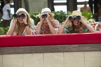 The_Other_Woman_still_1.jpg