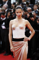 Adriana_Lima__The_Homesman_Premiere__25.jpg