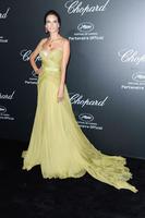 alessandra_ambrosio_in_elie_saab_couture_gown_chopard_backstage_party_2014_cannes_film_festival_15.jpg