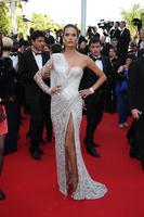 alessandra_ambrosio_wearing_atelier_versace_dress_two_days_one_night_premiere_2014_cannes_film_festival_29.jpg