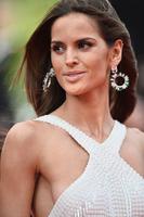 izabel_goulart_in_roberto_cavalli_gown_the_search_premiere_2014_cannes_film_festival_4.jpg
