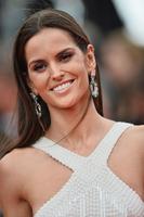 izabel_goulart_in_roberto_cavalli_gown_the_search_premiere_2014_cannes_film_festival_9.jpg