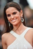 izabel_goulart_in_roberto_cavalli_gown_the_search_premiere_2014_cannes_film_festival_13.jpg