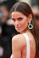 izabel_goulart_in_roberto_cavalli_gown_the_search_premiere_2014_cannes_film_festival_16.jpg