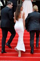 izabel_goulart_in_roberto_cavalli_gown_the_search_premiere_2014_cannes_film_festival_24.jpg