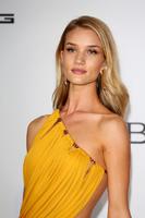 rosie_huntington_whiteley_amfar_s_21st_cinema_against_aids_gala_in_cannes_5.jpg