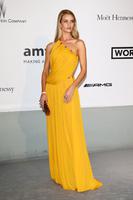rosie_huntington_whiteley_amfar_s_21st_cinema_against_aids_gala_in_cannes_7.jpg