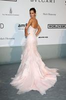 izabel_goulart_amfar_s_21st_cinema_against_aids_gala_in_cannes_2.jpg