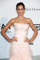 izabel_goulart_amfar_s_21st_cinema_against_aids_gala_in_cannes_3.jpg