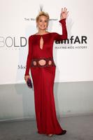 sharon_stone_amfar_s_21st_cinema_against_aids_gala_in_cannes_4.jpg