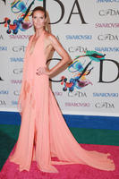 cdfa_heidi_klum.jpg
