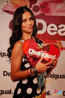 DESIGUAL_ARIADNA_LIMA_5.jpg