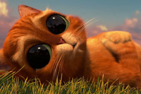 250711068a.png