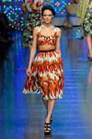 Dolce_Gabbana_Spring_2012_o1IUZpneyckx.jpg