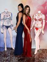 adriana_lima_and_alessandra_ambrosio_at_vs_secret_dream_fantasy_bra_debut_in_las_vegas_19.jpg